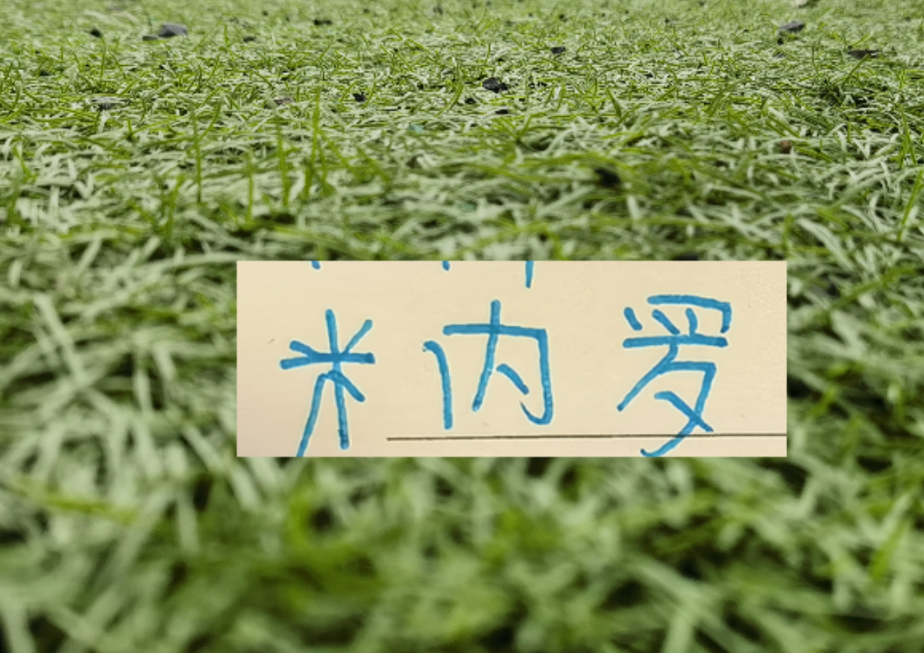 开云APP-马纳法五月比赛报销！